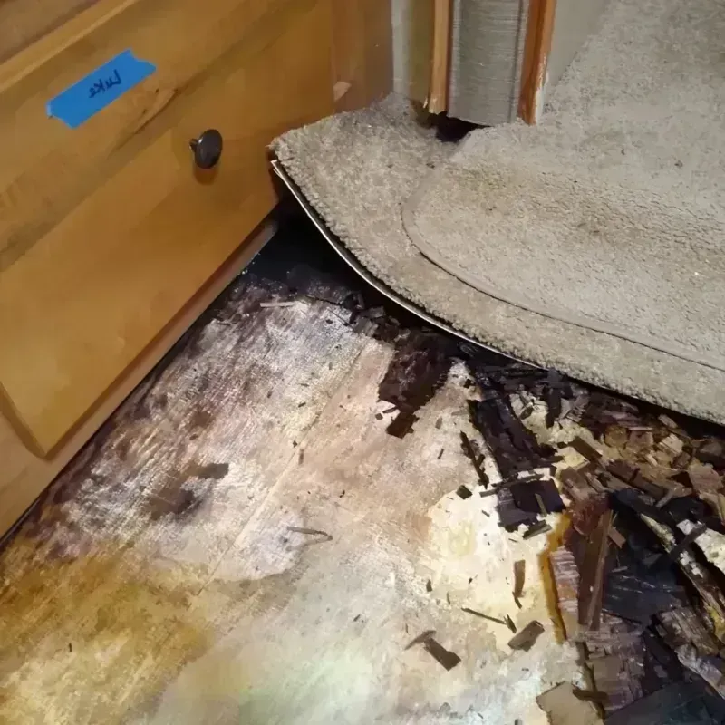 Best Wood Floor Water Damage Service in Swansea, MA